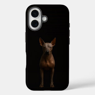 Coque Pour iPhone 16 Noir 4 Luxe iPhone 16 Mate, Chien Pila Argentin