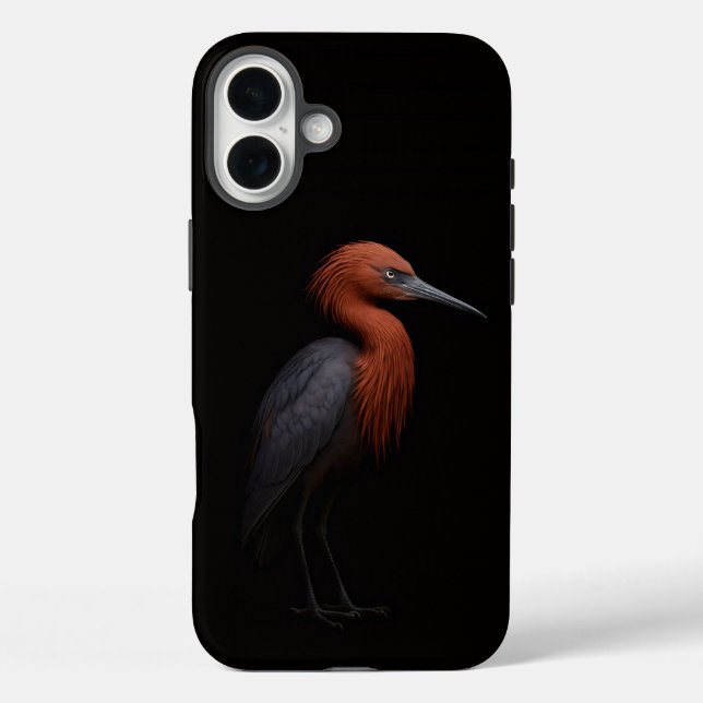 Coques Case-Mate iPhone Noir 4 Luxe iPhone 16 Plus, Aigrette rousse (Verso)