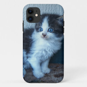 Coque Case-Mate Pour iPhone Noir + Kitten blanc