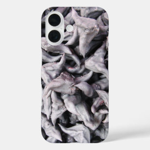 Coque Pour iPhone 16 Noix de buffle - Water Caltrop