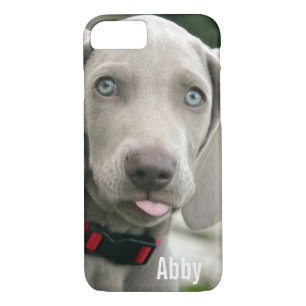 Coque iPhone 8/7 Nom personnalisé de photo de chien de Weimaraner