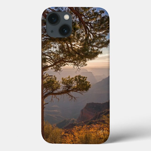 Coques Case-Mate iPhone North Rim Sunrise (Verso)