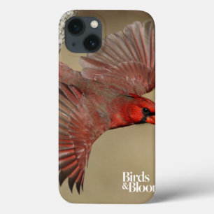 iPhone 13 Case Northern Cardinal In Flight