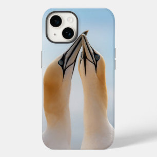 Coque Case-Mate iPhone Northern Gannet Seabird Coque-Mate iPhone 14