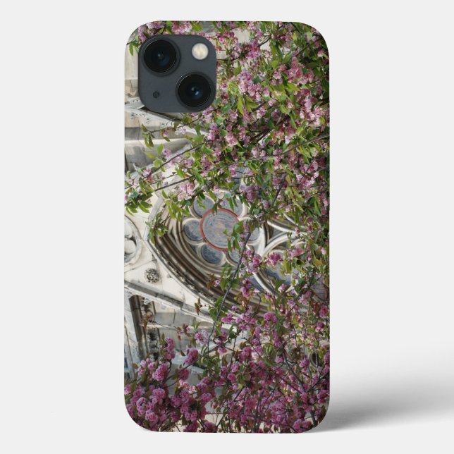 Coques Case-Mate iPhone Notre-Dame spring (Verso)