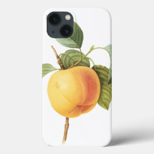 Etui iPhone Case-Mate Nourriture de fruits anciens, pomme Calville par R