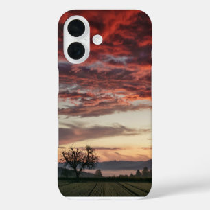 Coque Pour iPhone 16 Nuages rouges Arbre du coucher du soleil Champs ve
