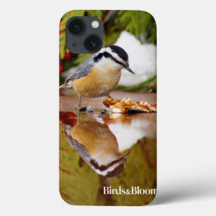 iPhone 13 Case Nuthatch à poitrine rouge