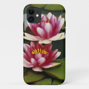 Coques Pour iPhone Nymphéas hybrides