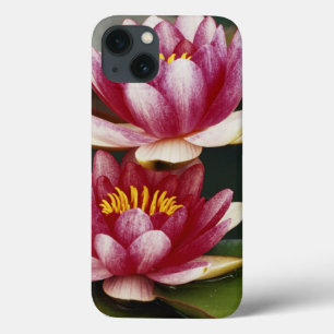 Coques Pour iPhone Nymphéas hybrides