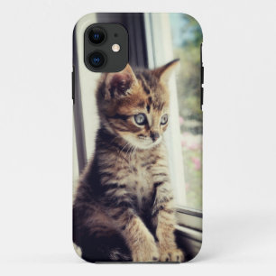 Coques Pour iPhone Observation tigrée de chaton