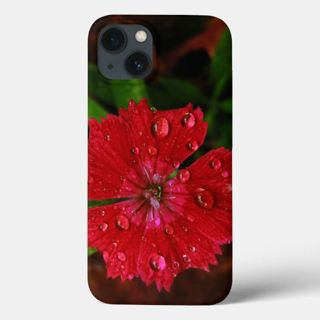 Coques Case-Mate iPhone Œillet rouge avec gouttes de pluie (Verso)
