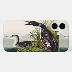 Coque Pour iPhone 16 Œuvre d'art vintage d'Audubon sur le plongeon huar