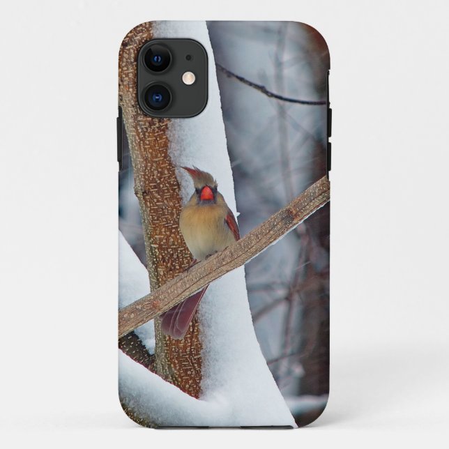 Coques Case-Mate iPhone Oh super, et je viens de me faire coiffer ! (Dos)