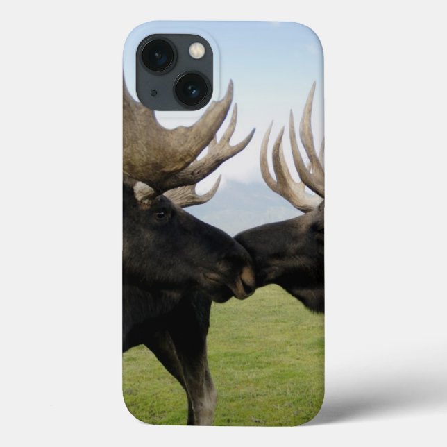 Coques Case-Mate iPhone Oie (Verso)