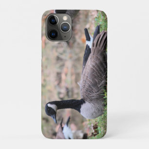 Case-Mate iPhone Case Oie