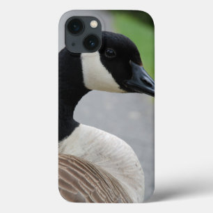 Case-Mate iPhone Case Oie canadienne