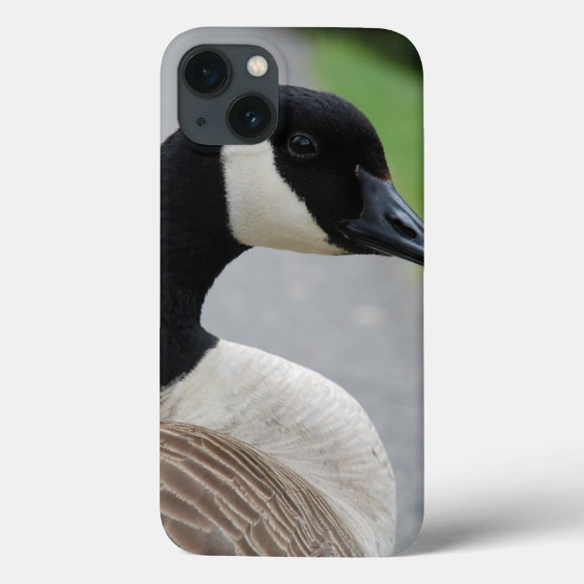 Coques Case-Mate iPhone Oie canadienne (Verso)
