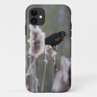 Coques Pour iPhone Oiseau à ailes rouges (Agelaius phoeniceus)