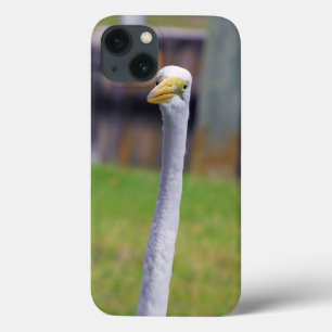 Case-Mate iPhone Case Oiseau avec le long cou