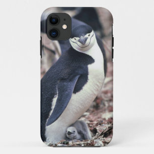 Coque Case-Mate Pour iPhone Oiseau de pingouin mignon animal noir eau blanche
