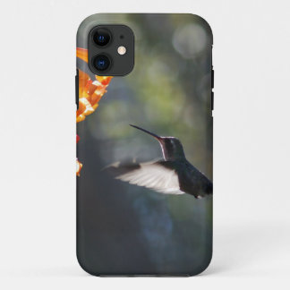Coque iPhone 11 Oiseau de ronflement
