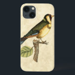 Coques Pour iPhone Oiseau jaune et vert perché sur une petite branche<br><div class="desc">Cette impression d'inspiration gravée présente des images nettes et vives avec un haut degré de précision des couleurs. L'arrière - plan neutre aide à mettre en valeur les couleurs de l'oiseau. Customisez votre produit Zazzle préféré en utilisant cette belle image.</div>