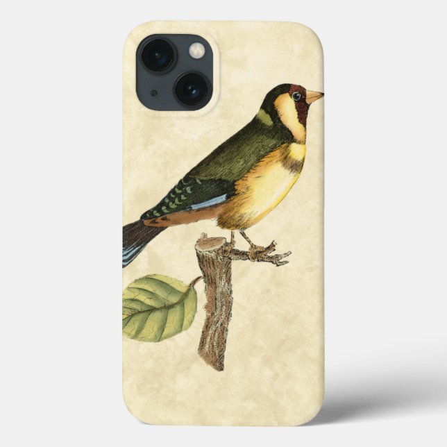 Coques Case-Mate iPhone Oiseau jaune et vert perché sur une petite branche (Verso)