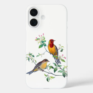 Coque Pour iPhone 16 Oiseaux bariolés sur des branches