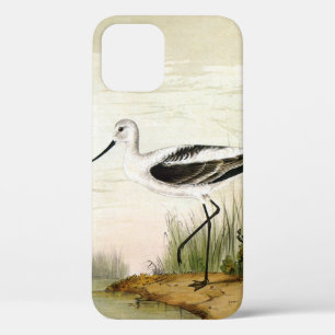 Case-Mate iPhone Case Oiseaux de rivage de la vie marine vintage, oiseau