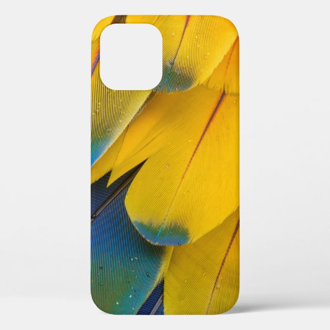 COQUES Case-Mate iPhone OISEAUX JAUNES BLEUS ET ROUGES DE FLEURS DE PARADI (Verso)