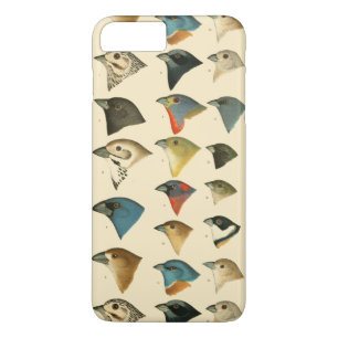 Case-Mate iPhone Case Oiseaux nord-américains