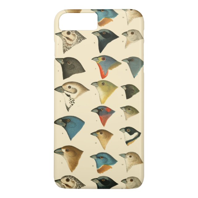 Coques Case-Mate iPhone Oiseaux nord-américains (Dos)