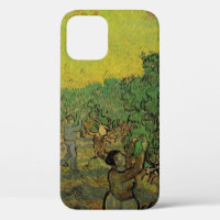 Olivier Grove avec les chiffres de cueillette, Vin