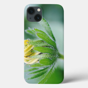 Etui iPhone 13 Opening Flower Of Cone Flower