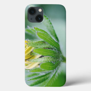 Case-Mate iPhone Case Opening Flower Of Cone Flower