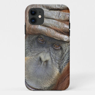 Etui iPhone Case-Mate Orang-outan de Sumatra femelle captif