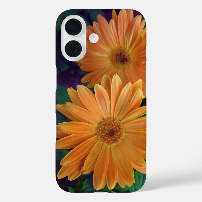 Coques Case-Mate iPhone Orange Daisy (Verso)