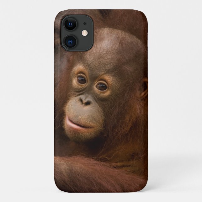 Coques Case-Mate iPhone Orangutan mère et bébé au zoo (Dos)