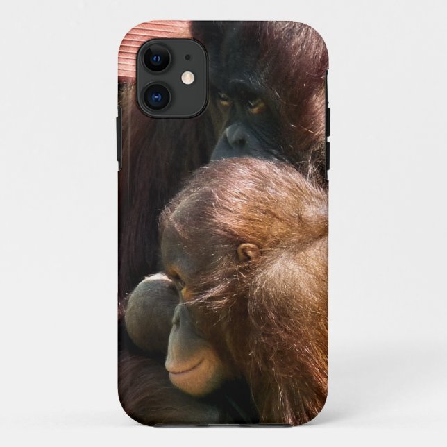 COQUES Case-Mate iPhone ORANGUTANS (Dos)