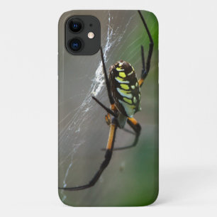 Case-Mate iPhone Case Orb Weaver Spider Close Up Téléphone Case