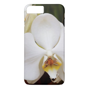 Coque Case-Mate Pour iPhone Orchidée Lune Blanche (Phalaenopsis Aphrodite)