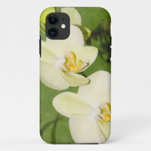 Etui iPhone Case-Mate Orchidées blanches sur un arrière - plan vert