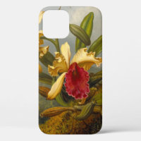 Orchidées et colibri Heade