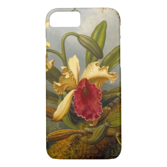 Coques Case-Mate iPhone Orchidées et colibri Heade (Dos)