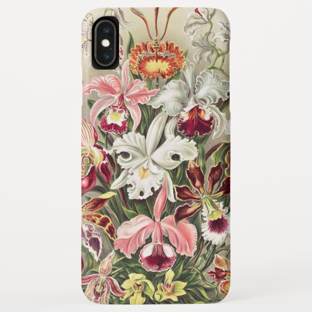 Coques Case-Mate iPhone Orchidées, Orchidée Denusblumen par Ernst Haeckel (Dos)