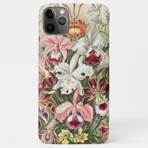 Case-Mate iPhone Case Orchidées, Orchidées Denusblumen par Ernst Haeck