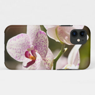 Coques Pour iPhone Orchidées par Shirley Taylor