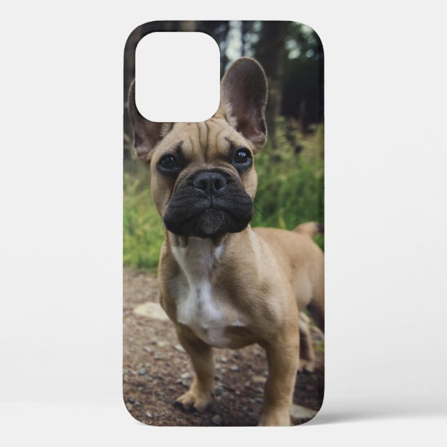 Coques Case-Mate iPhone Oreiller à lancer de chien de taureau français (Verso)