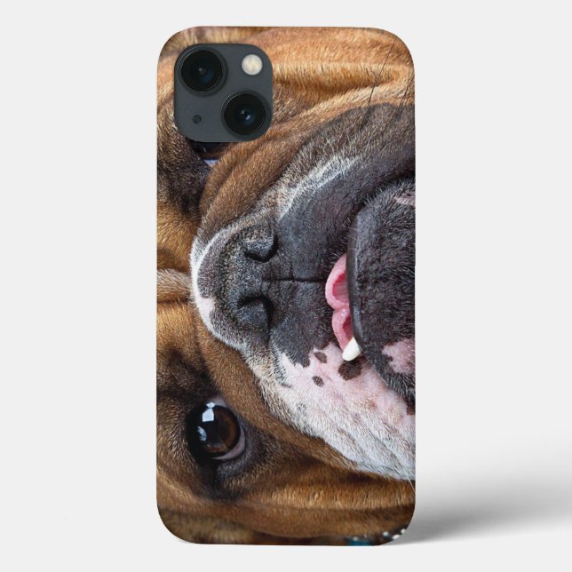 Coques Case-Mate iPhone Oreillers à lancer de Bulldog anglais (Verso)